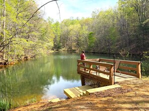 Property grounds - Moon Lake Retreat - Kayaks, Fishing, Private shoreline, Hot tub, Room to Roam (Blue Ridge)