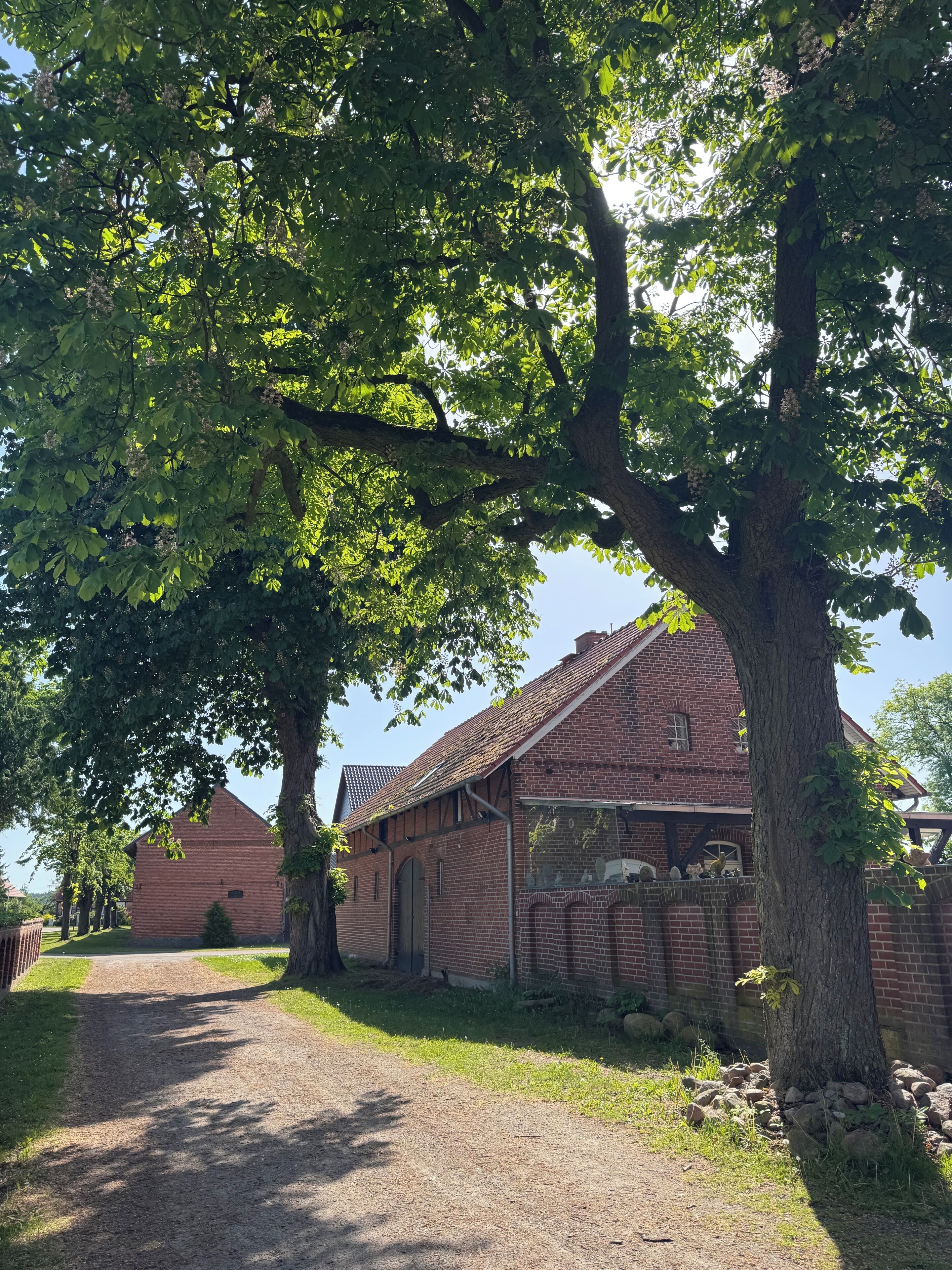 Ulkopuoli