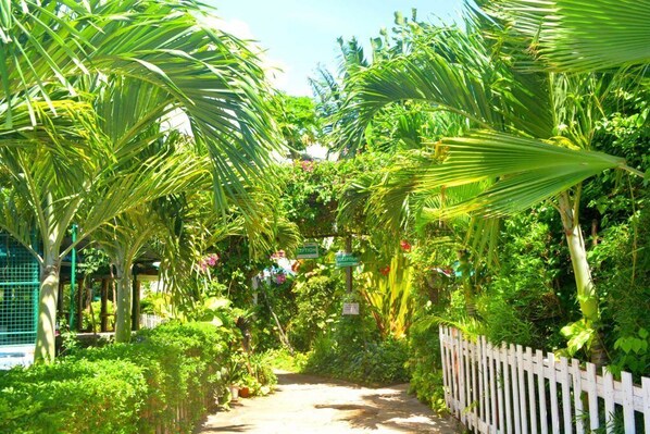 Garden - The Tavern Inn Shanzu (Mombasa)