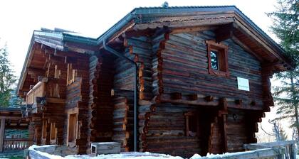 Chalet in La Tania Near Ski Slopes