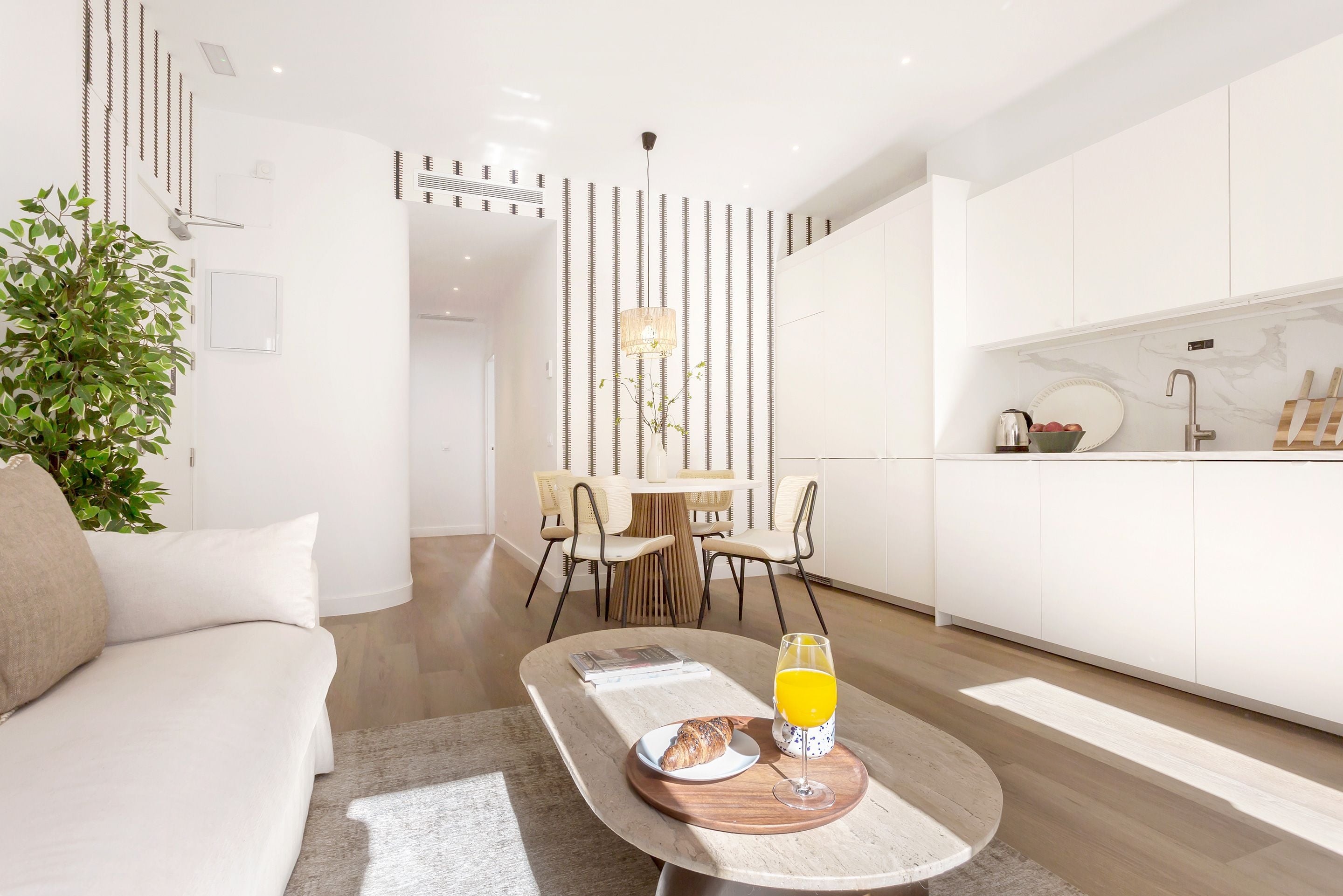 Una sala de estar moderna con un sofá, un comedor con sillas, una cocina con armarios y una planta decorativa.