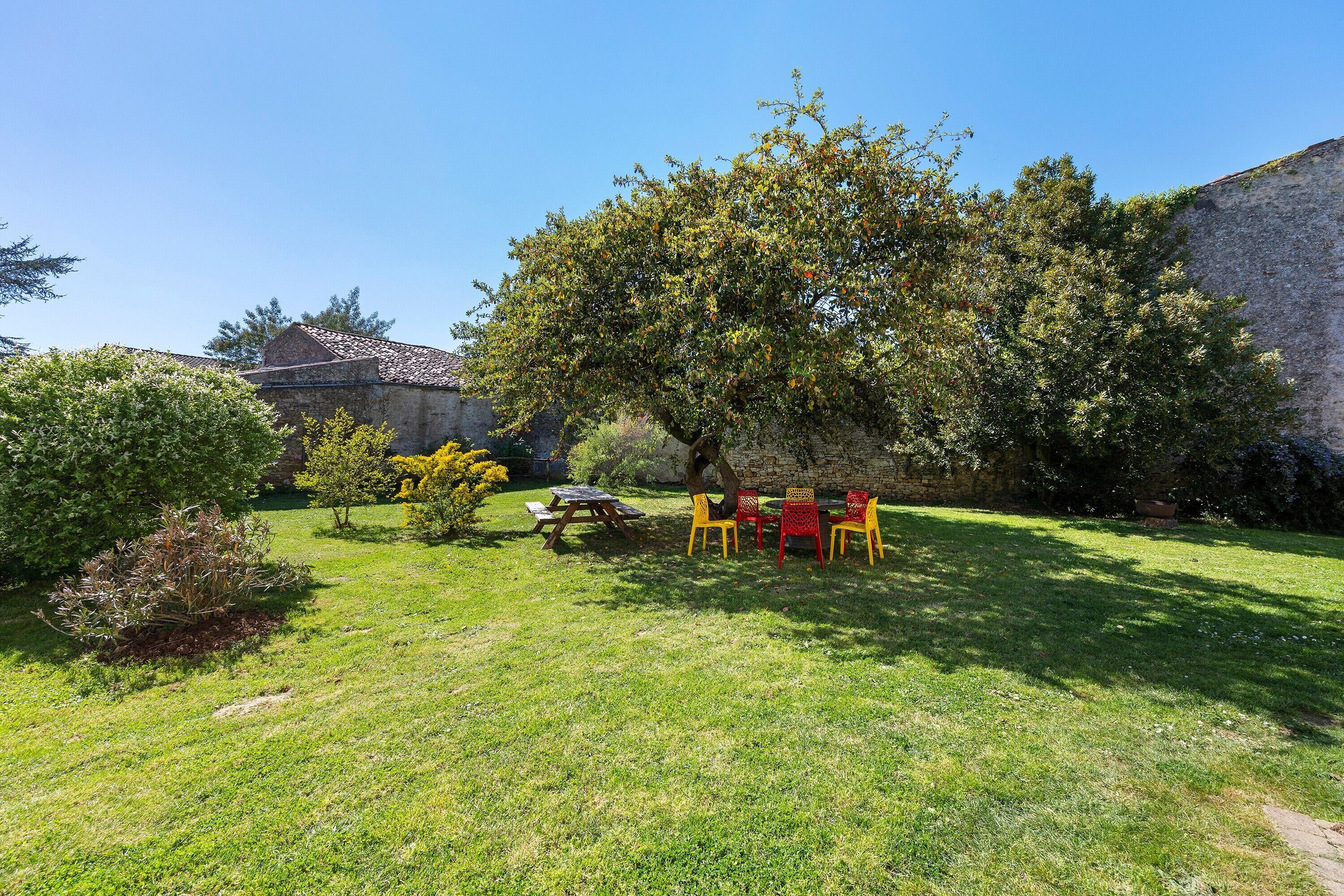 A grassy outdoor area with a picnic table and chairs, a stone wall, and a tree.