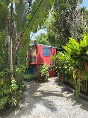 A red building with a blue door, surrounded by dense foliage and a concrete path. - Charming accommodation in Gosier, 5 minutes from the beaches (Le Gosier)