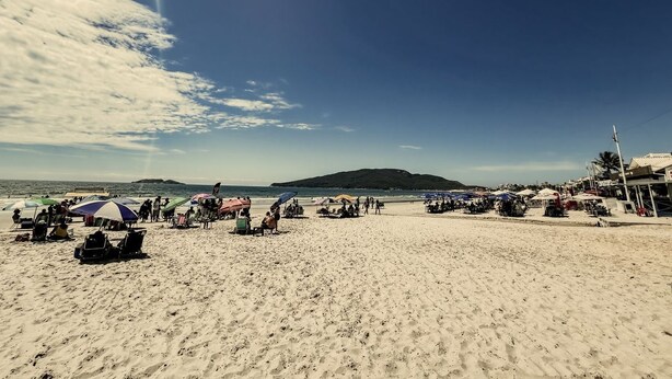 A beach with umbrellas, beach chairs, and a clear sky. - Apto com 2 Vagas e Churrasqueira Ingleses (Florianópolis)