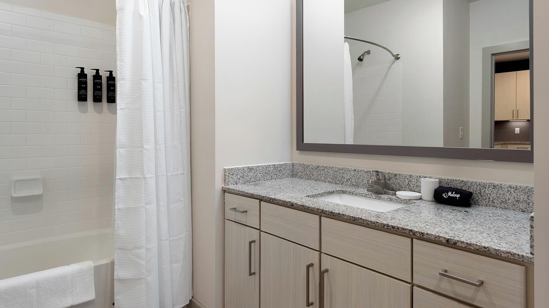 Une salle de bain avec une douche, un lavabo et un miroir.