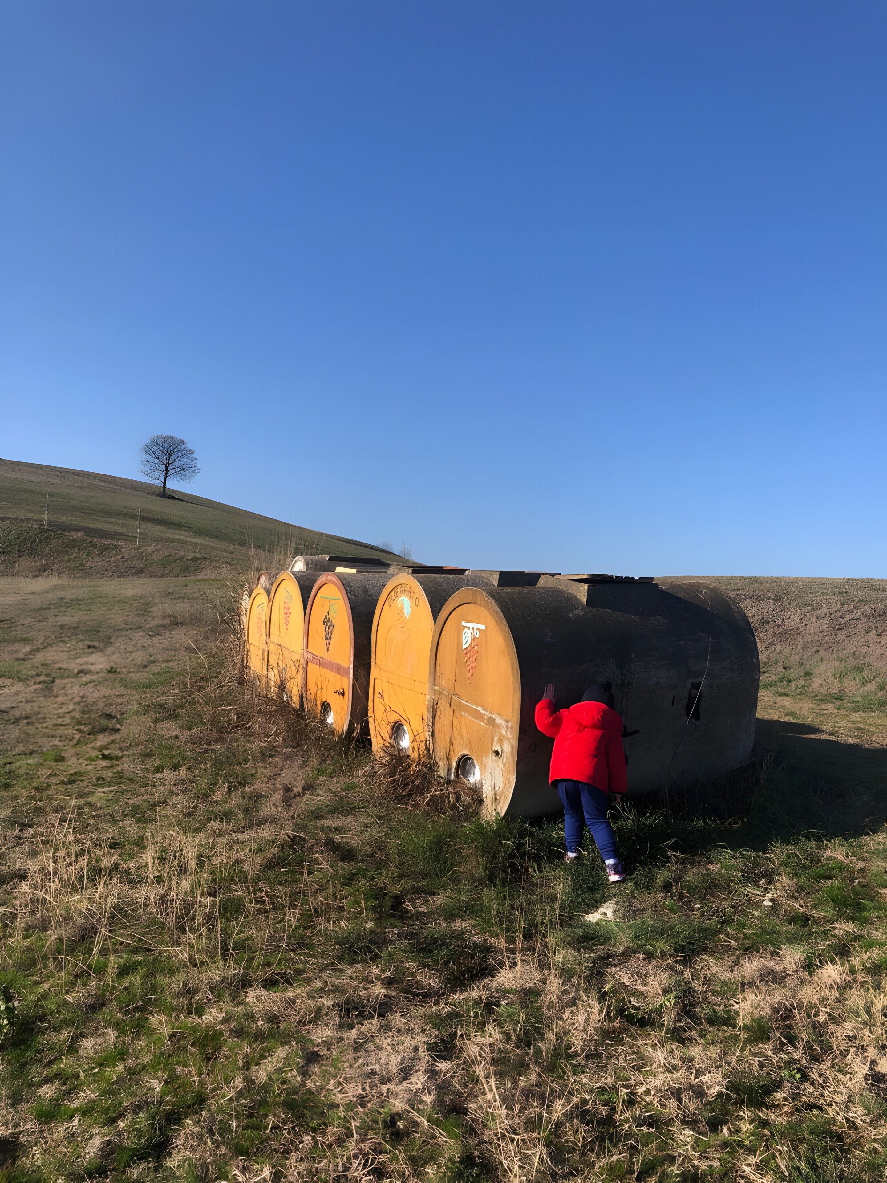 A person in a red jacket inspecting a large cylindrical structure with multiple smaller cylindrical sections, set in a grassy field with a clear sky.