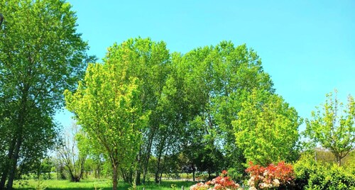 Villa „Mascagni 01“ mit privater Terrasse, Garten und Klimaanlage