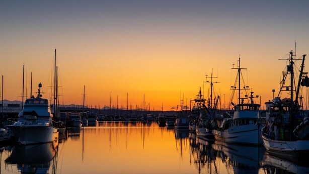 A marina with boats docked at sunset. - Historic PNW Bungalow - Sunset & Water View (Everett)