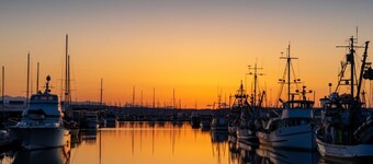 Historic PNW Bungalow | Sunset & Water View