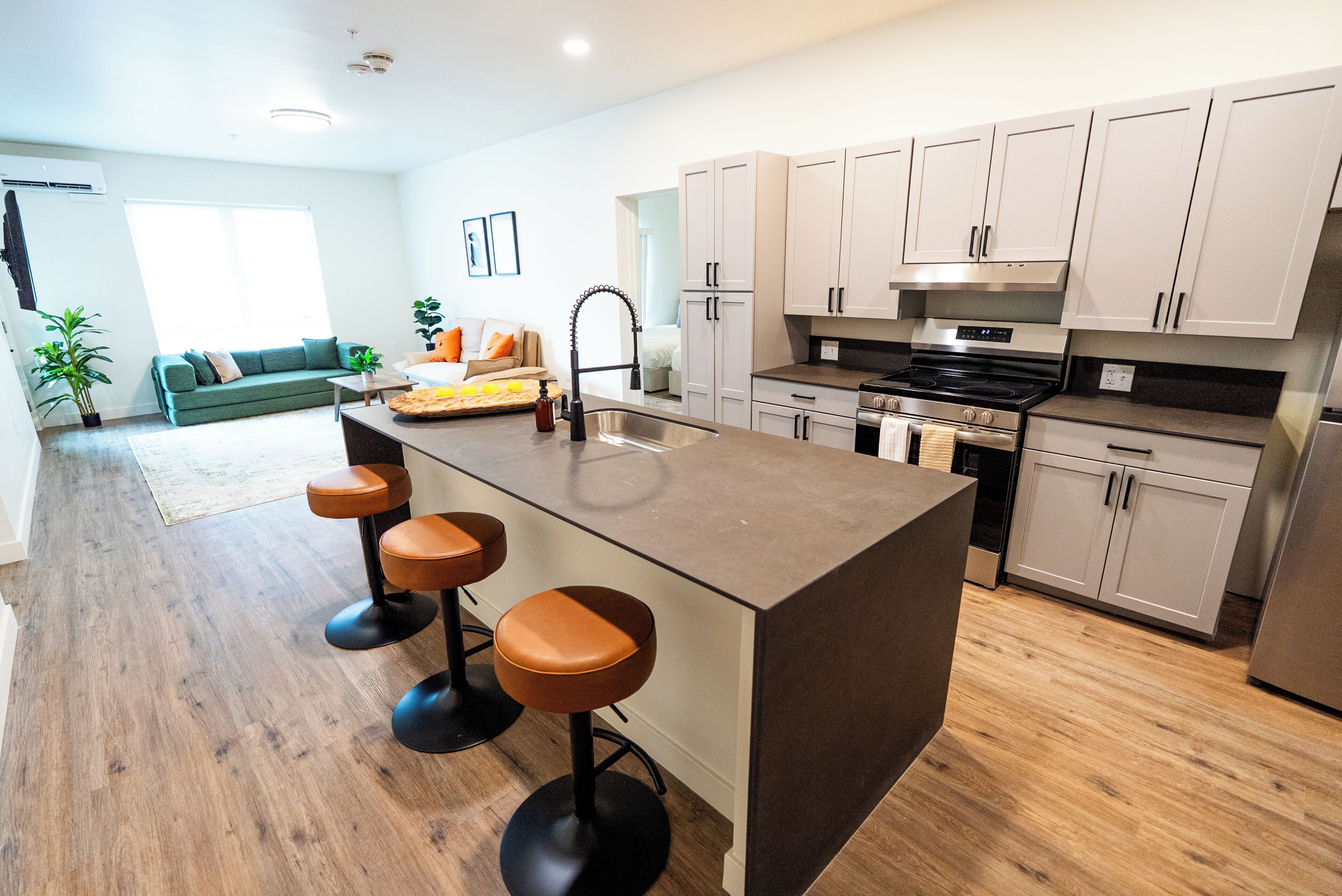 Deluxe Suite, 2 Bedrooms | Private kitchen