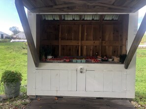 Une structure en bois, avec une façade blanche, une fenêtre et un petit jardin agrémenté de plantes.