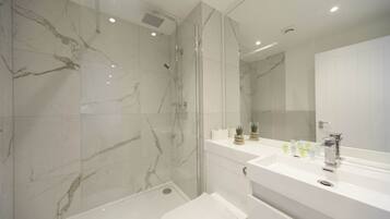 Shower, hair dryer, towels, shampoo