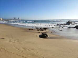 Beach - Lovely 4-bedroom Family Beach House, 2-Min Walk to Sand (Vila do Conde)
