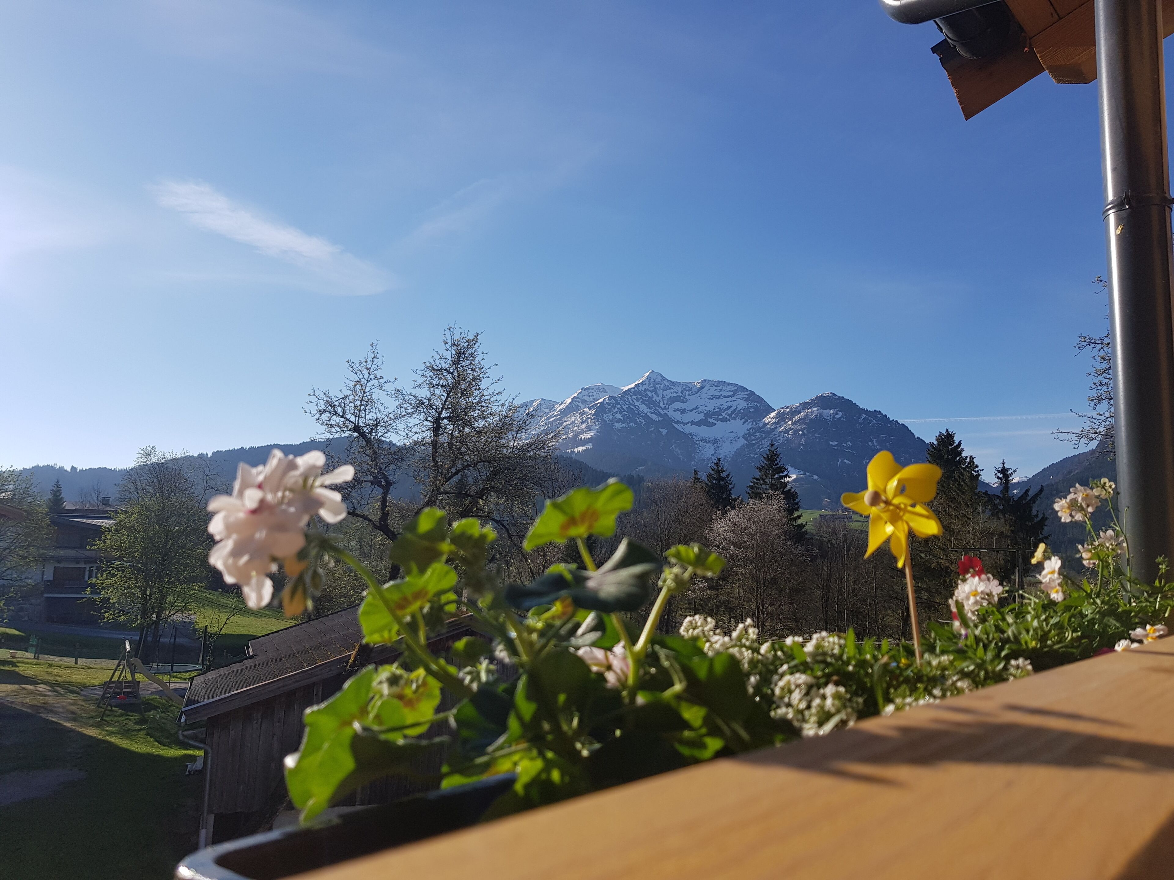 Näkymä majoituspaikan ympäristöön