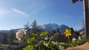 Vista d'una serralada de muntanyes amb cims nevats, un cel blau clar i una taula de fusta amb flors al primer pla.