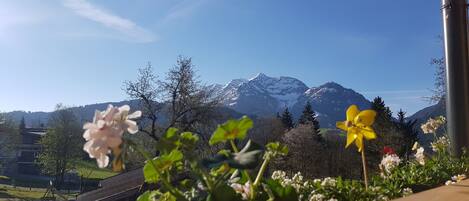 Näkymä majoituspaikan ympäristöön