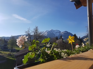 Land view from property