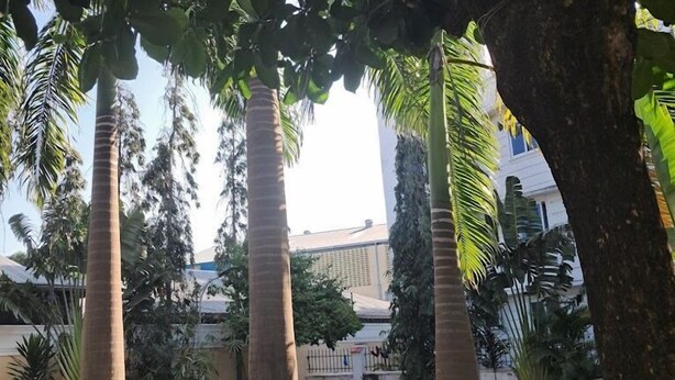 Un sentiero conduce a un’area con posti a sedere, palme e un edificio sullo sfondo.