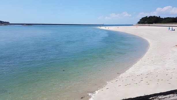 Una playa con aguas cristalinas, una orilla de arena y una línea de árboles distante.