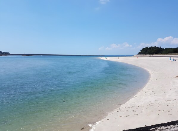 Playa