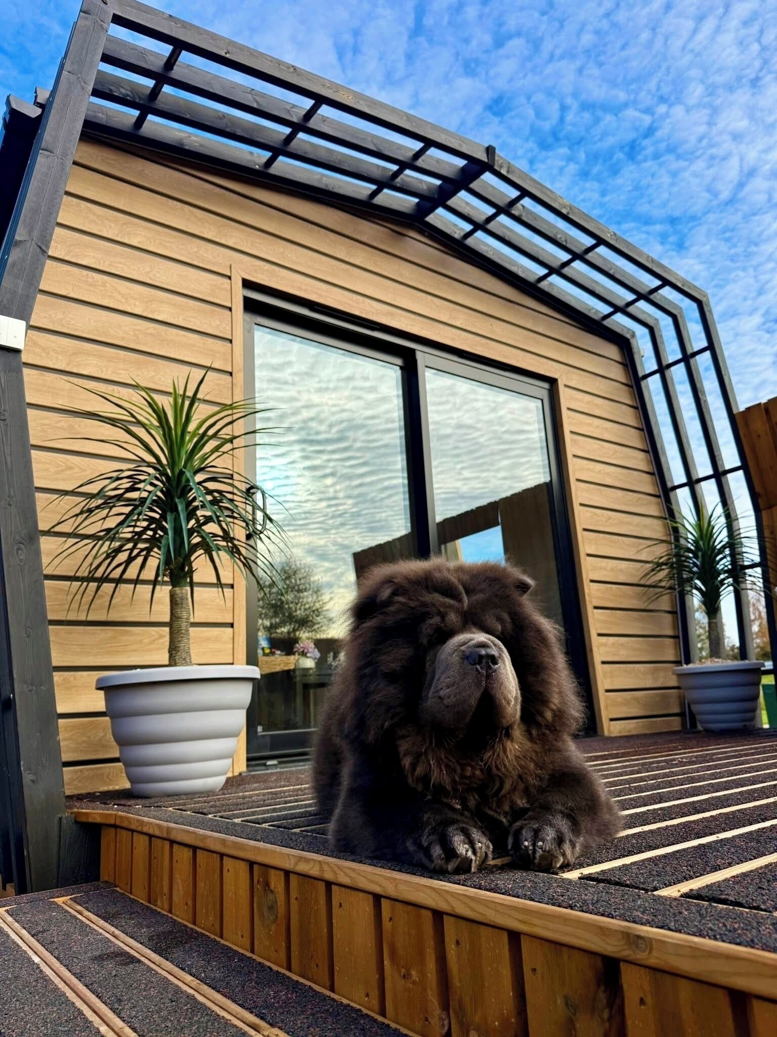 Cabin (The Balblair Luxury Pod with Hot Tub)