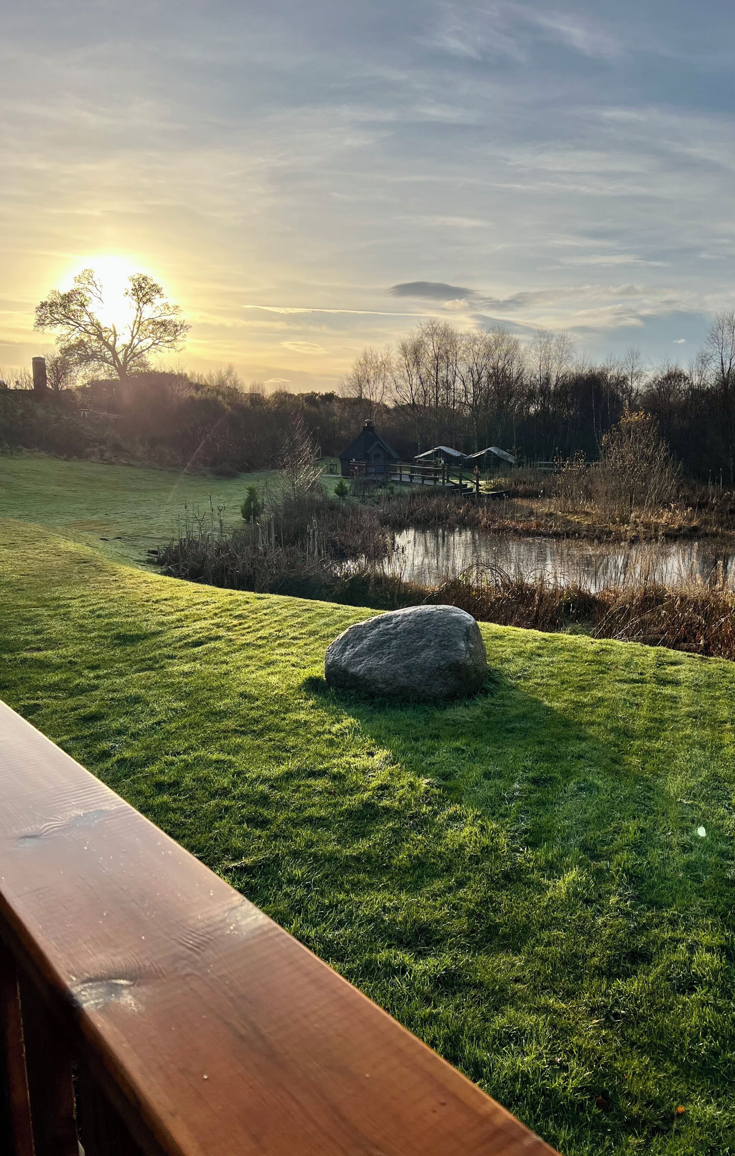 A grassy field with a wooden bench, a rock, and a pond.