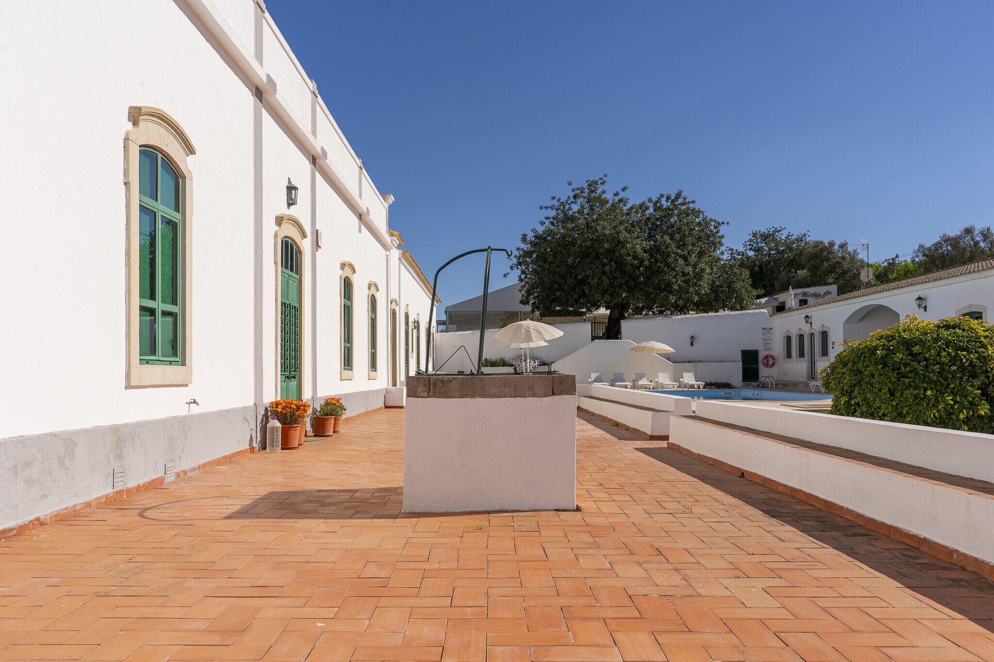 A rooftop terrace with a white building, a small pool, and potted plants.