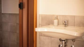 Tweepersoonskamer, toegankelijk voor rolstoelgebruikers | Badkamer