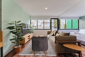 TV - Loft con terraza en CDMX (Narvarte) (Ciudad de mexico)