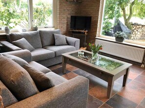 TV, fireplace, DVD player, books