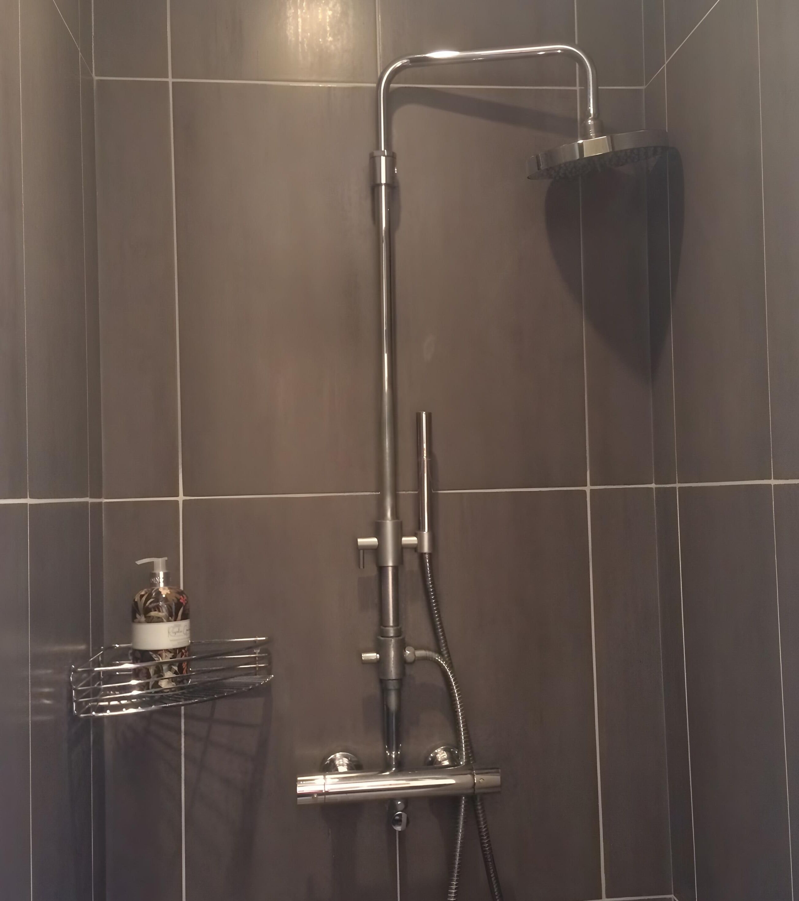 Pomme de douche portative