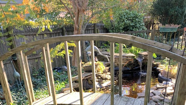 Eine Holzbrücke über einen kleinen Teich, umgeben von viel Grün.