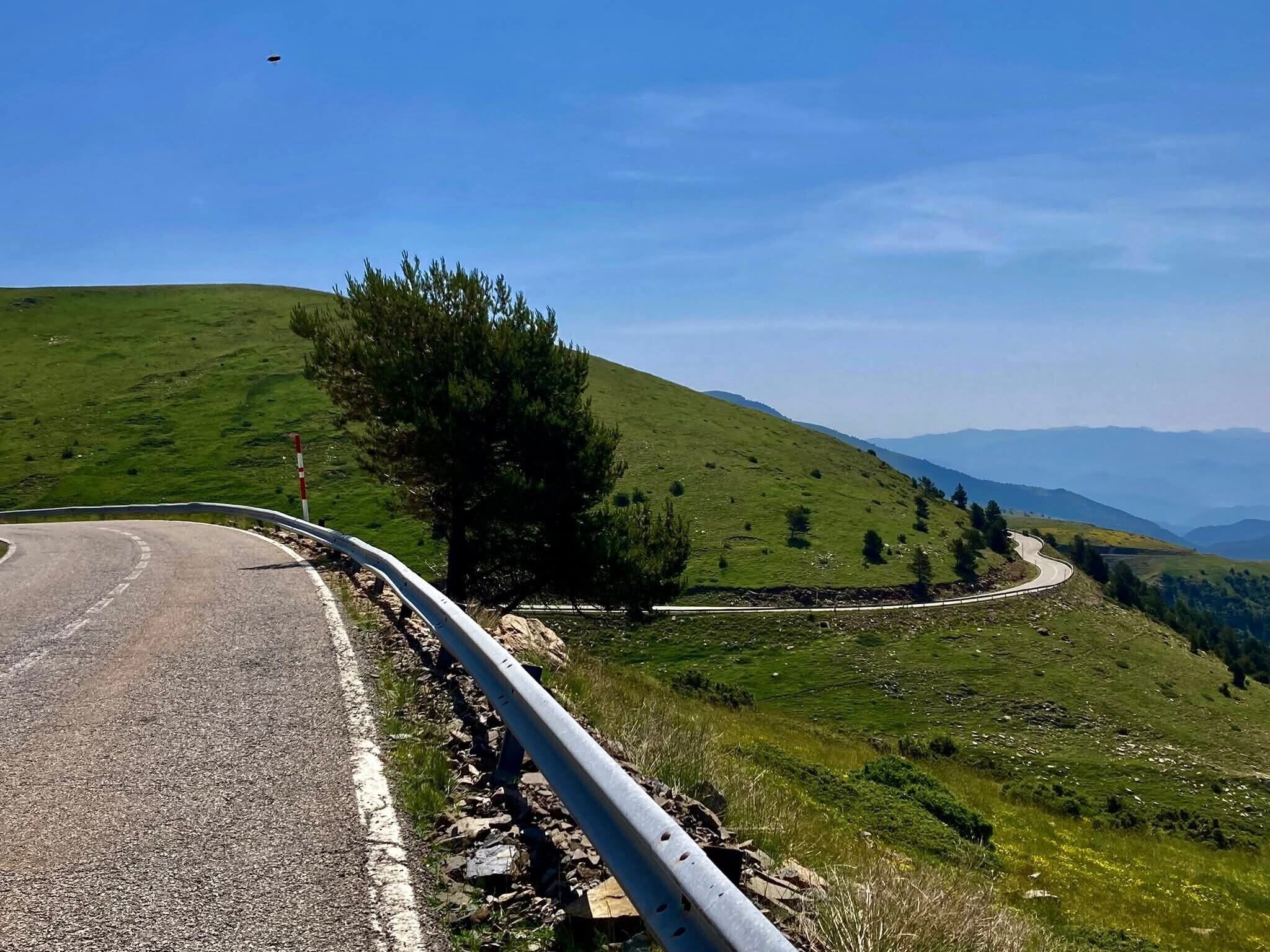 A winding road with a guardrail, surrounded by green hills and sparse trees.
