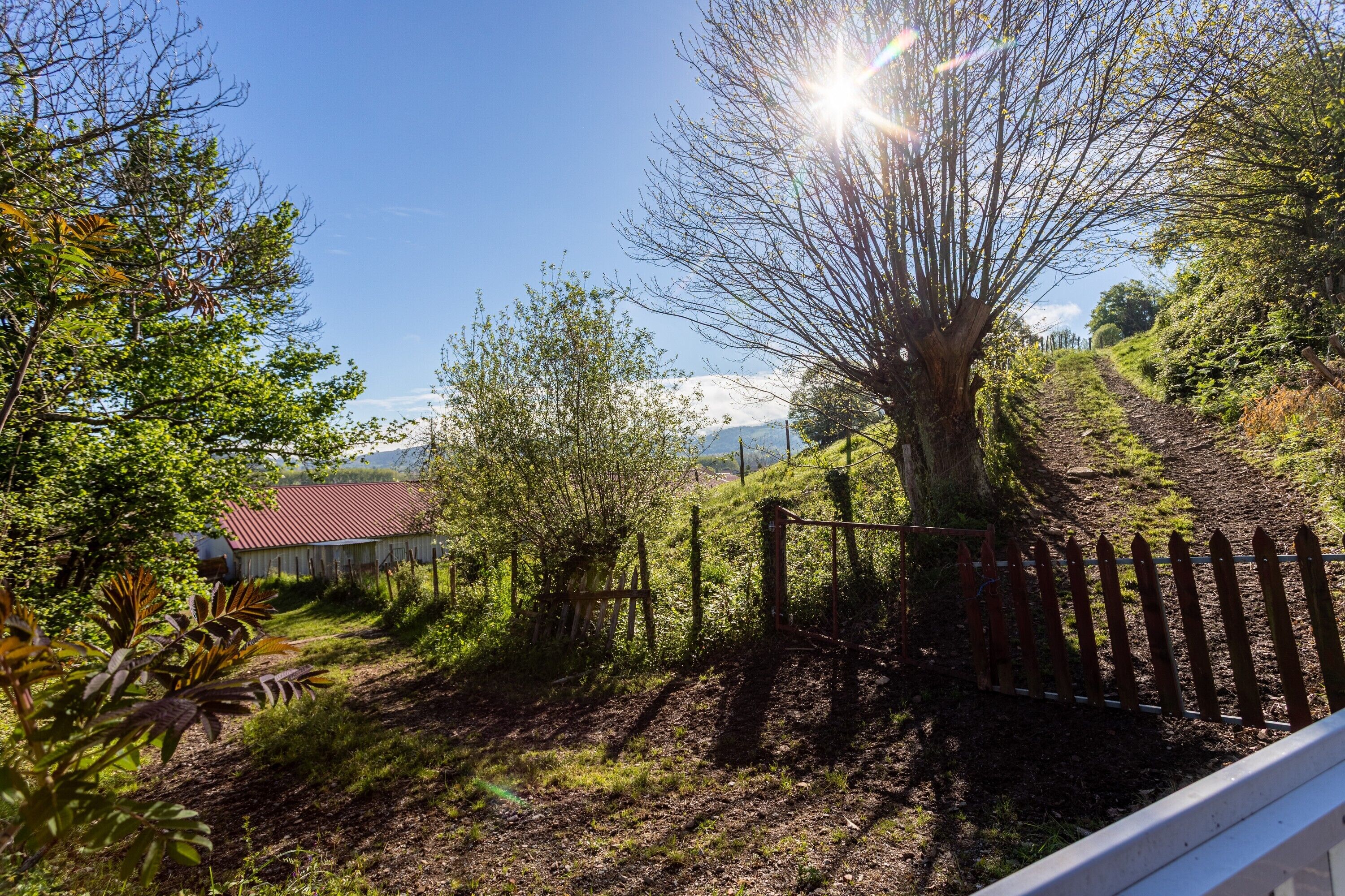 Terrein van de accommodatie