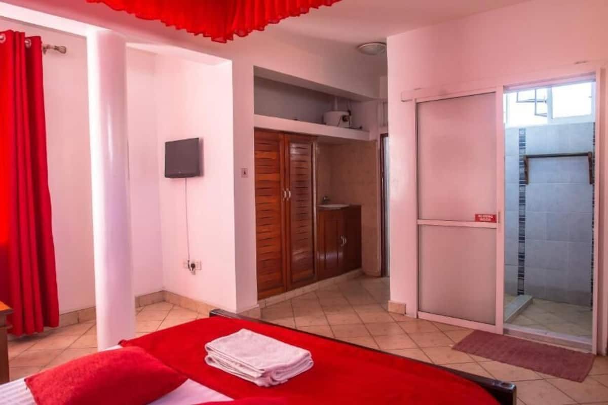 A bedroom with a bed, a red curtain, a wooden wardrobe, a shower area, and a TV on the wall.