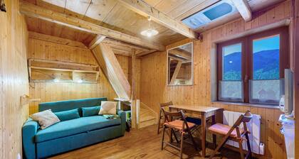 « Petit chalet chez Gaston » avec vue sur la montagne, Wi-Fi gratuit et climatisation