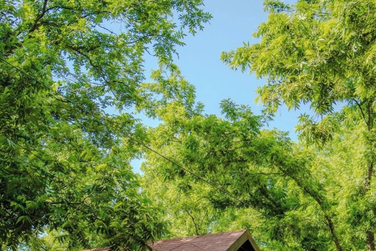 เบสิกวิลล่า | Wi-Fi ฟรี