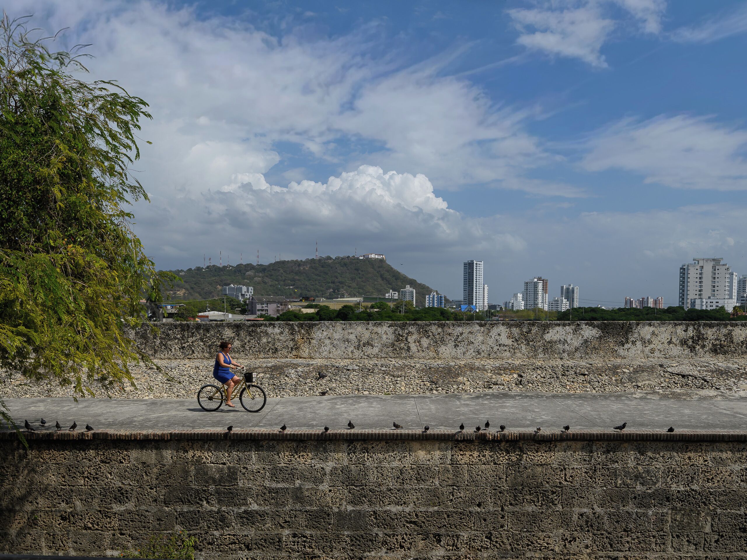 Uma pessoa andando de bicicleta em um caminho de concreto com uma paisagem urbana ao fundo.