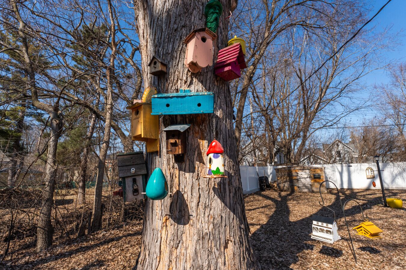 A tree with multiple birdhouses and a hanging bird feeder.
