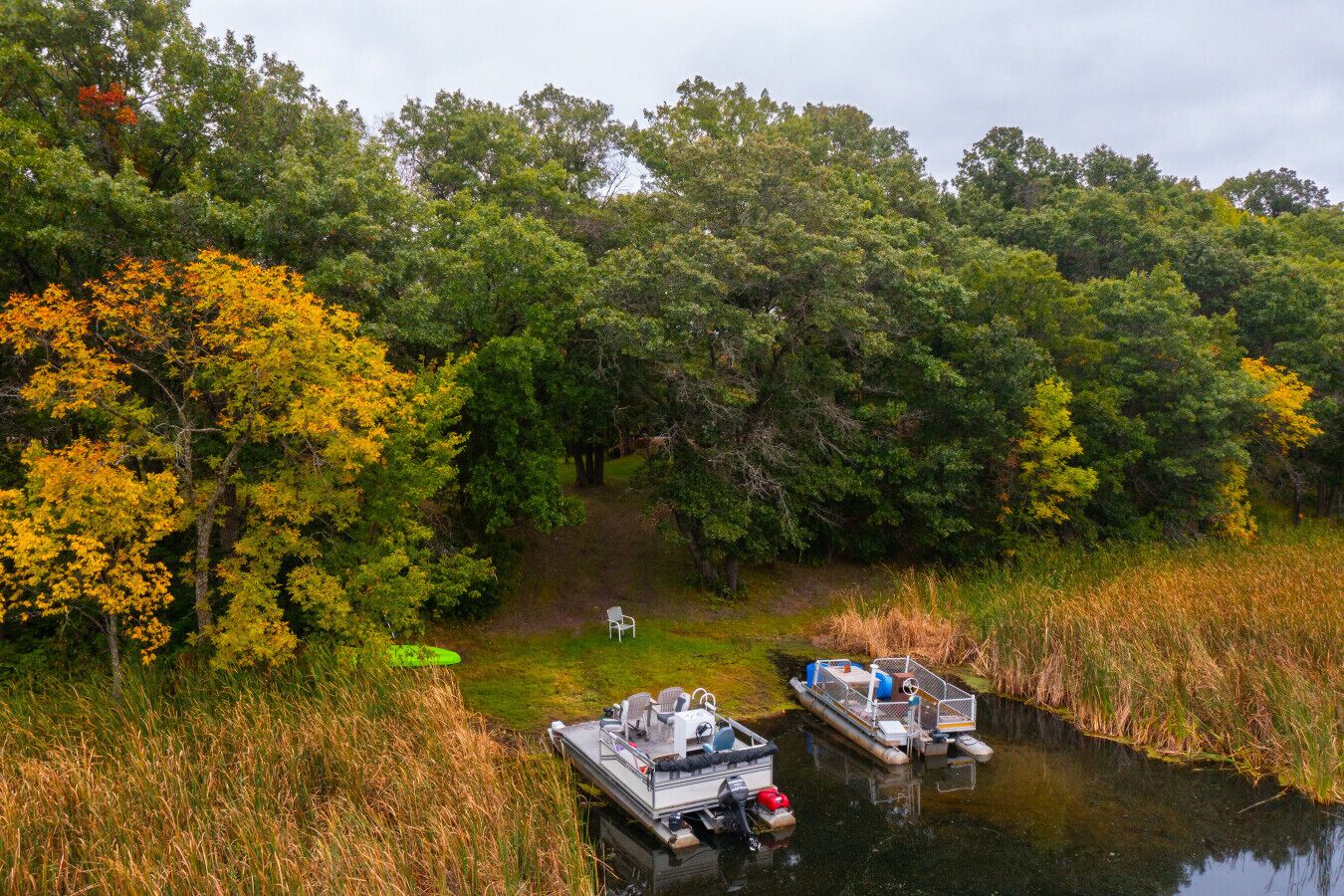 Un río tranquilo con barcas amarradas, rodeado de un bosque frondoso y altas hierbas.