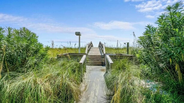 Un muelle de madera que lleva a una estructura rodeada de pastos altos y follaje.