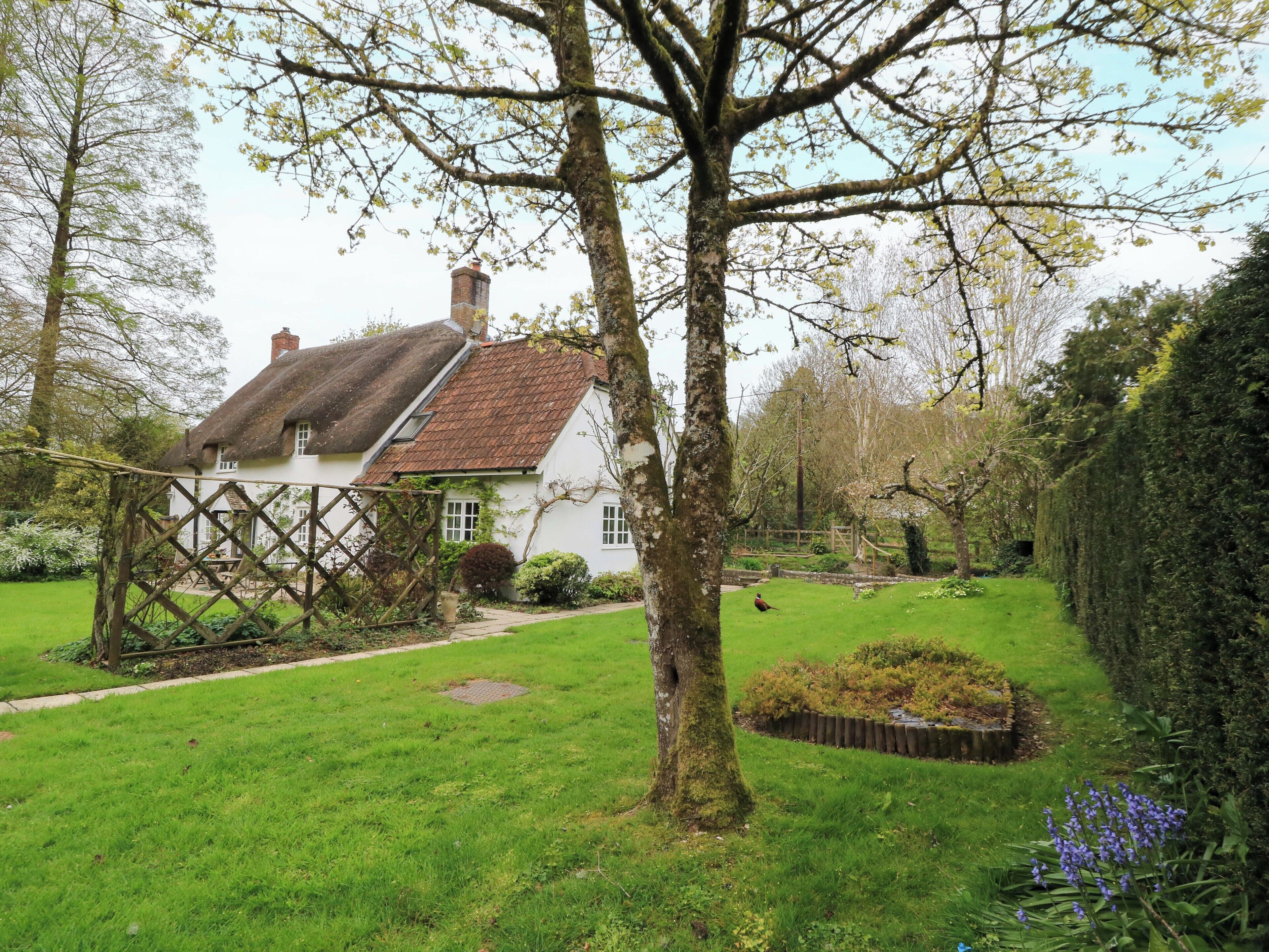 Cottage | Property grounds