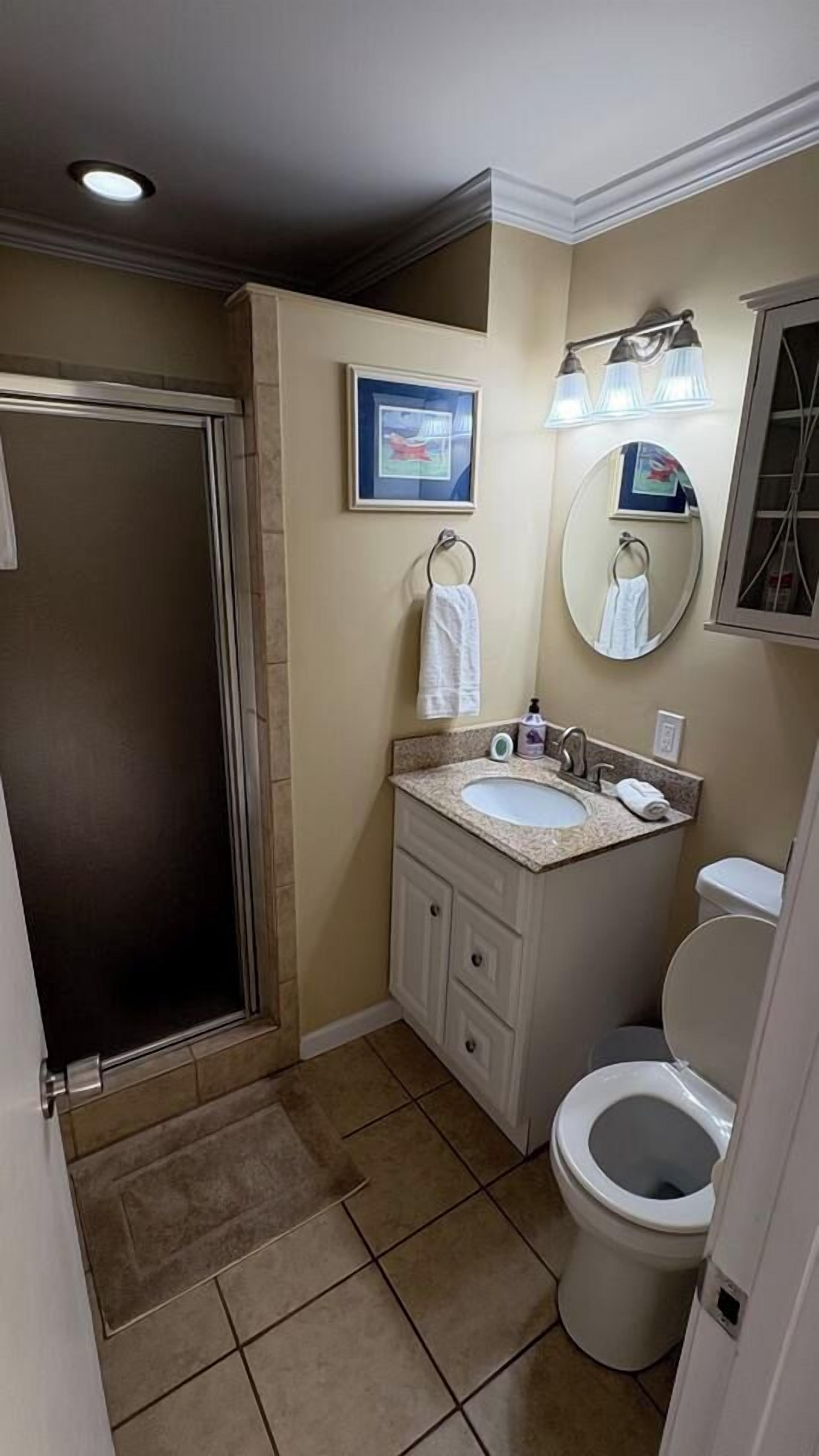 A bathroom with a shower, toilet, sink, and a mirror.