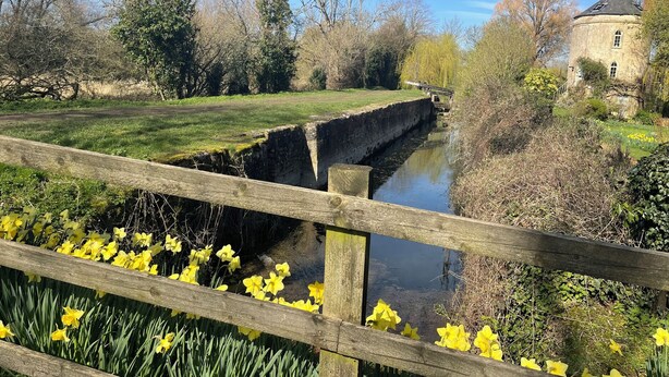 A canal with a stone bridge, a wooden fence, and yellow daffodils in the foreground. - Meadow Lodge (Cirencester)