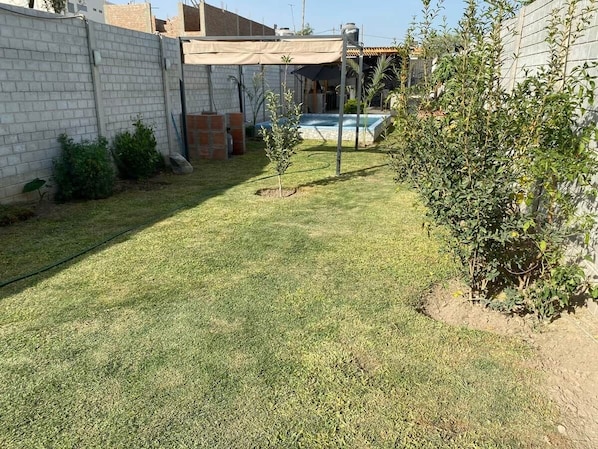 A backyard with a swimming pool, a brick wall, and some greenery.
