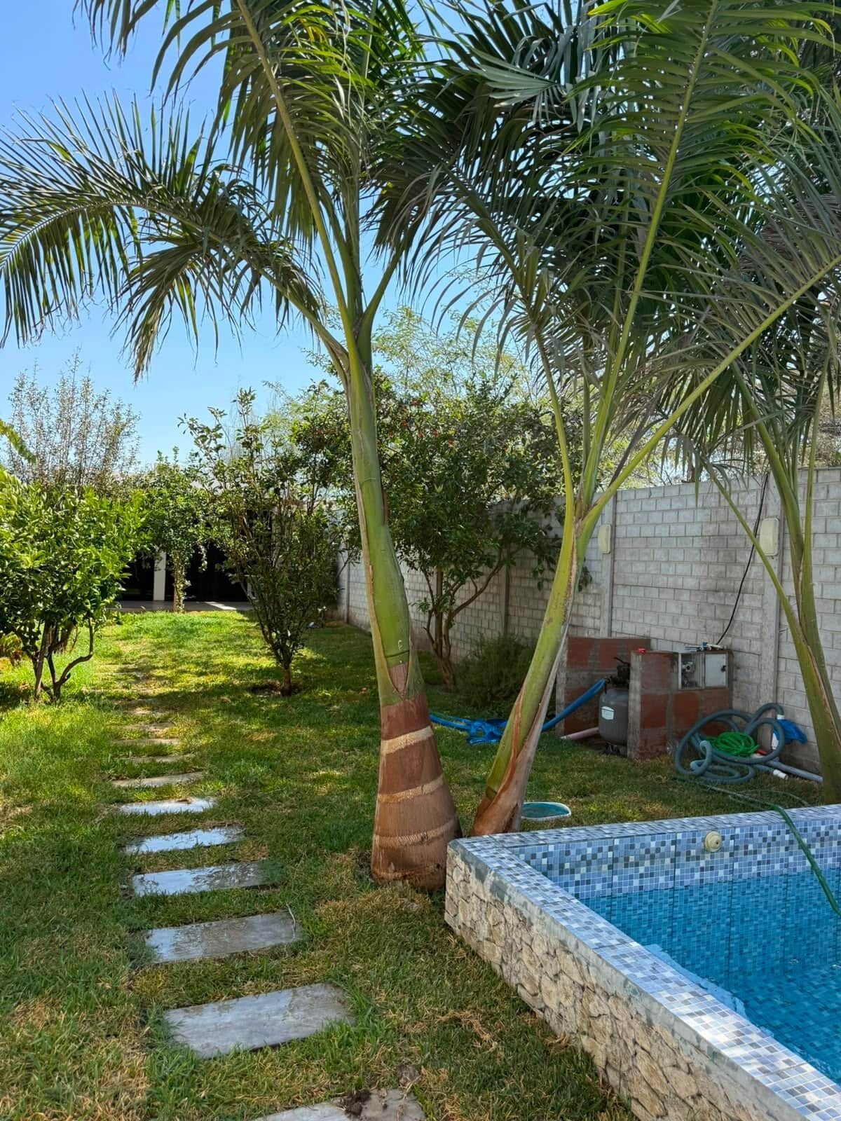 A backyard with a swimming pool, a brick wall, and a grassy area with stepping stones.