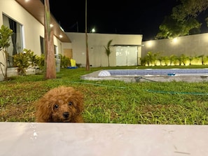Property grounds - Casa en Ica con piscina, parrilla y gran jardín (Ica)