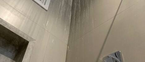 Deluxe Studio Suite | Bathroom | Shower, towels, soap, shampoo