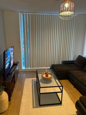 TV, books, video library - Super Comfy Condo in Manchester|Free Parking|Wi-Fi (Greater Manchester)