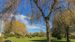 A park with a tree, grass, and a metal fence. - New Barn (Salisbury)
